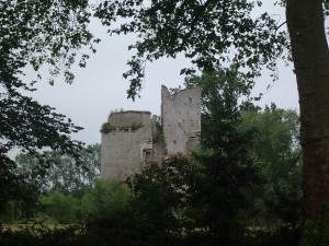 Photo du château de Machecoul